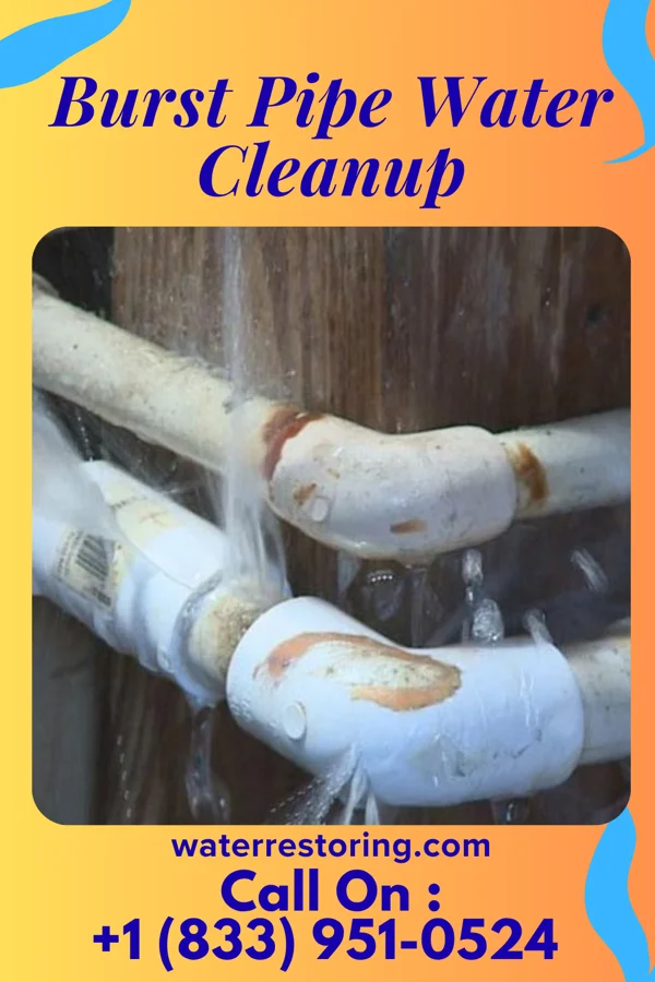 Burst Pipe Water Cleanup in Smith Island, MD