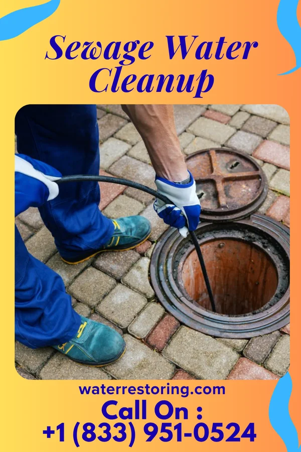 Sewage Water Cleanup in Smith Island, MD